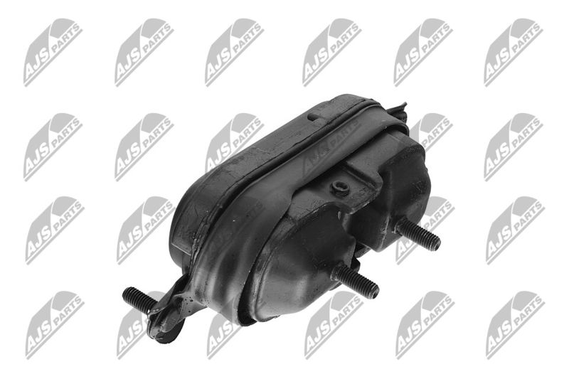 Paigutus, Mootor, NTY ZPS-CH-115