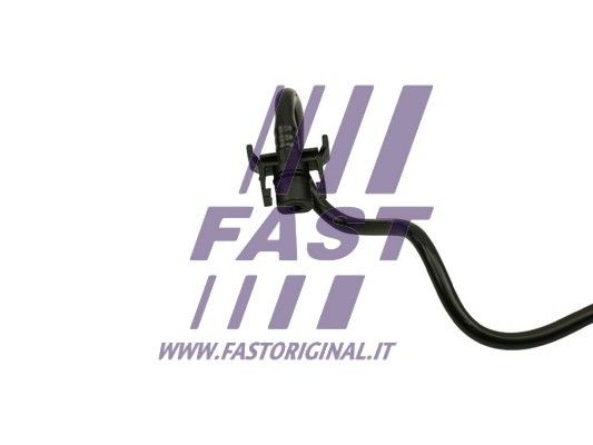 FT61015_3_1.JPG