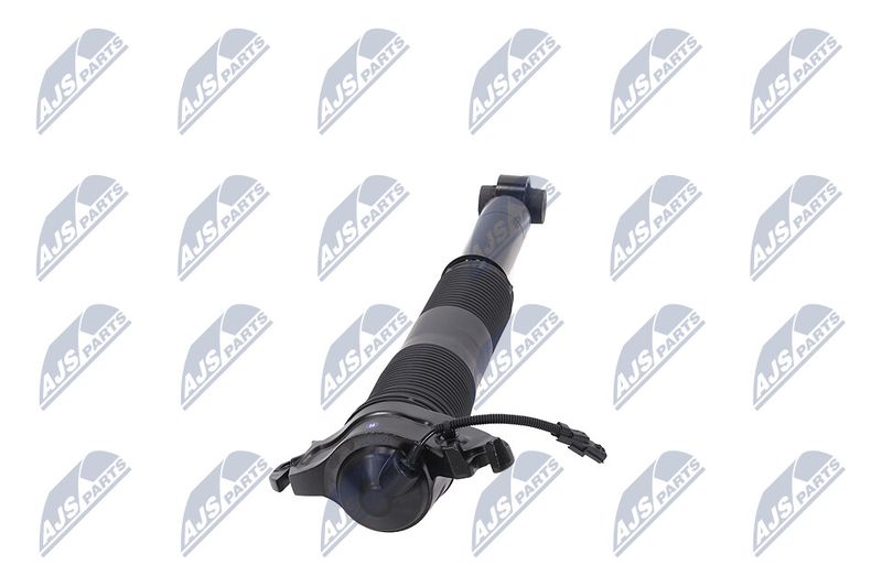 Amort, NTY A-LR-022
