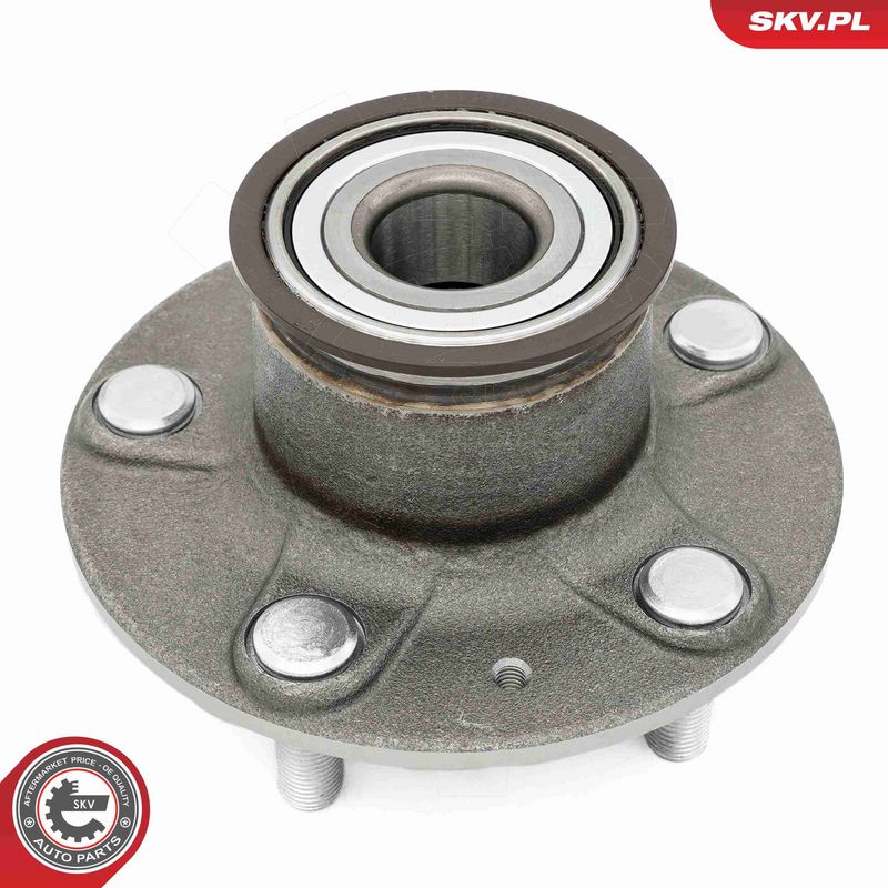 ESEN SKV 29SKV667 Wheel Bearing Kit