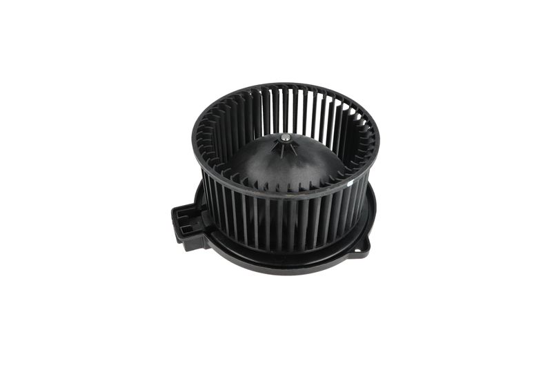 Salongipuhur, NRF 34331