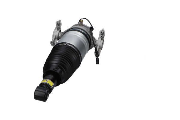 Kavo Parts SAS-10042 Air Suspension Strut