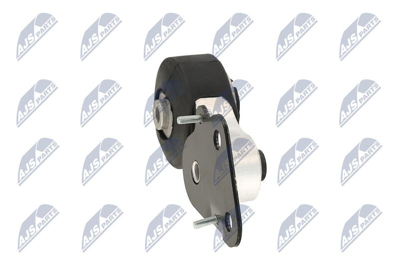 Paigutus, Mootor, NTY ZPS-CH-075