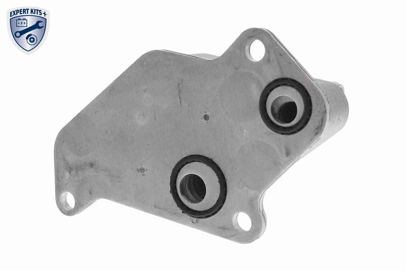 VEMO V40-60-2104 Oil Cooler, engine oil