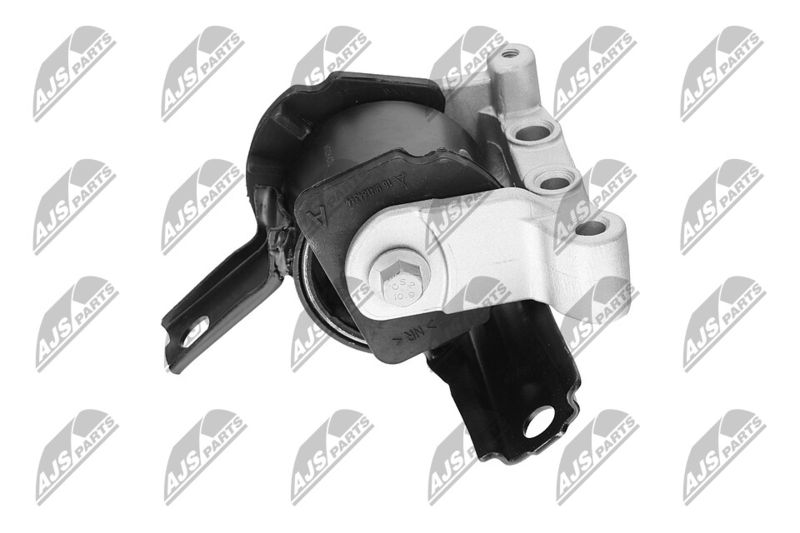 Paigutus, Mootor, NTY ZPS-CH-071