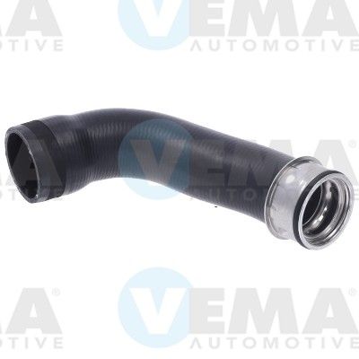 VE55904.JPG