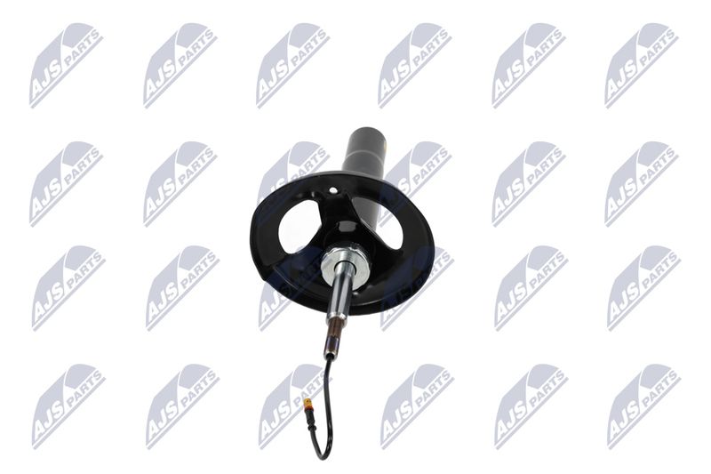 Amort, NTY A-PS-012