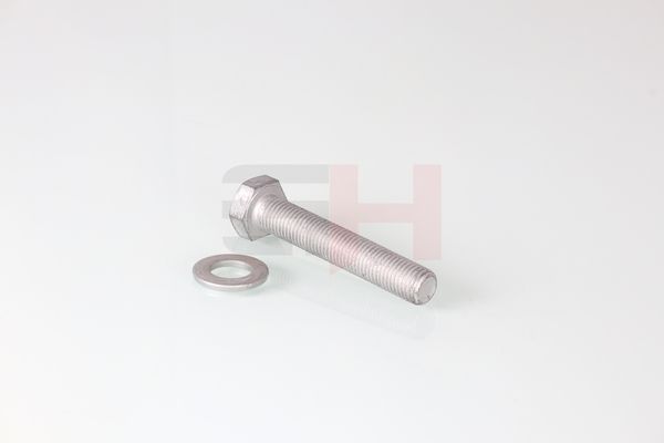 Kruvi, teljetapid, GH GH-391602