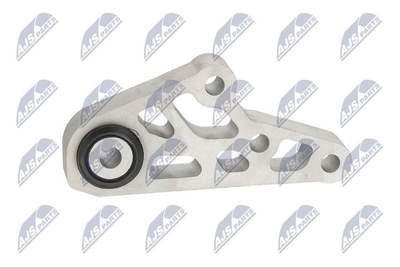 Paigutus, Mootor, NTY ZPS-CH-119