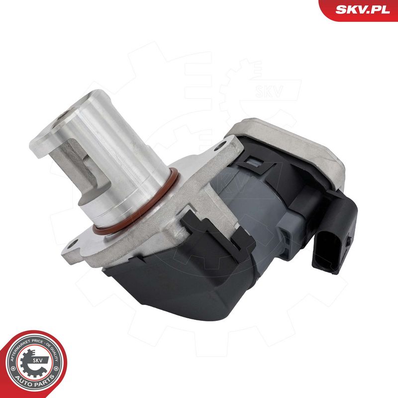 EGR-klapp, ESEN SKV 14SKV309