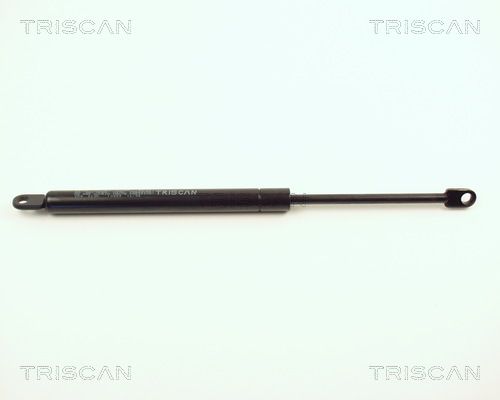 TRIS8710389.JPG