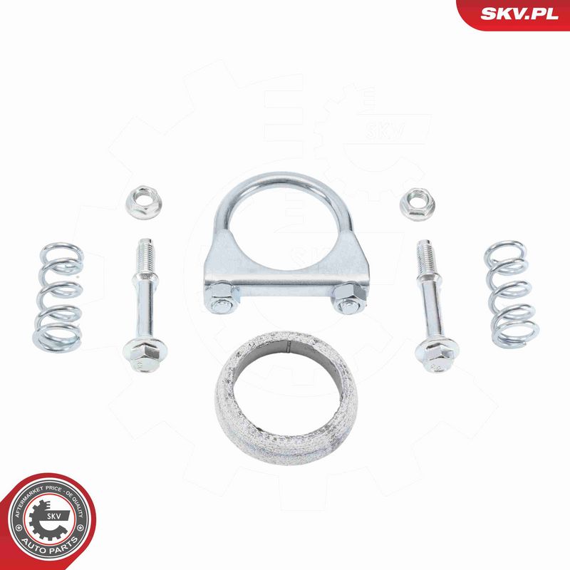 ESEN SKV 62SKV149 Catalytic Converter