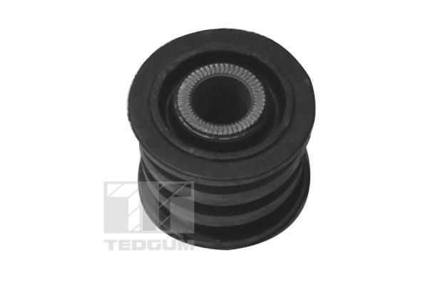 TED79240-A.JPG