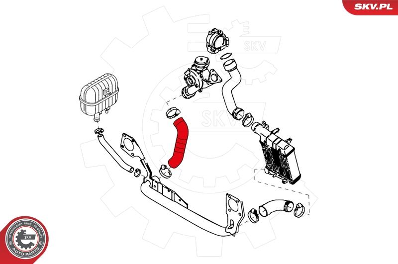 Шланг подачі наддувального повітря, Skv Germany 24SKV113