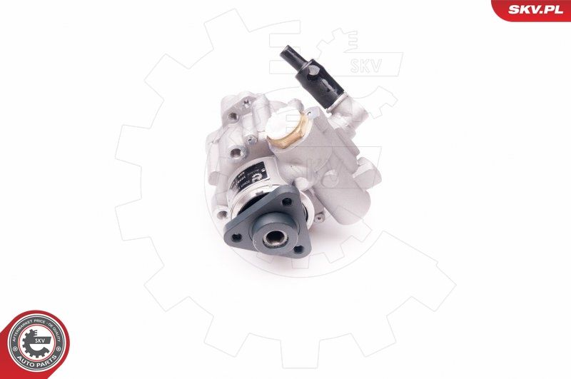 ESEN SKV 10SKV239 Hydraulic Pump, steering