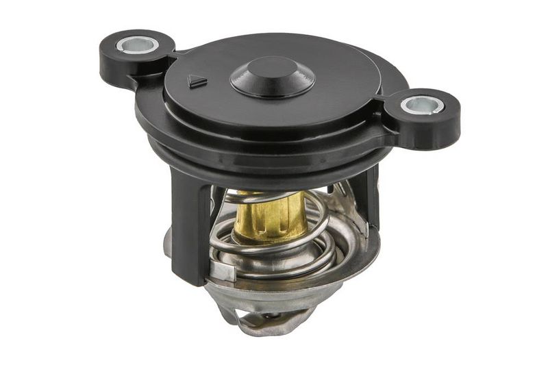 termostat,lichid racire TOPRAN 630 313