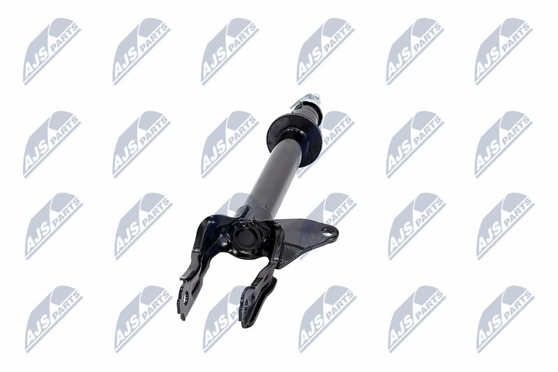Amort, NTY A-CH-082