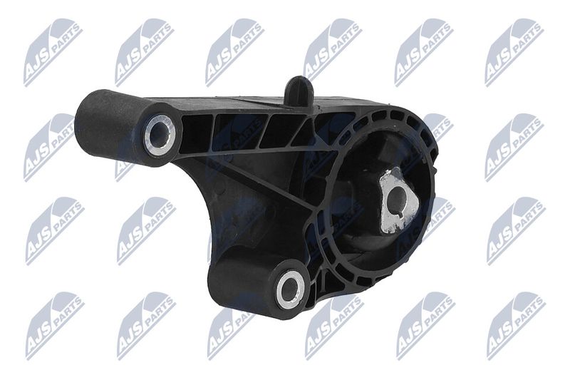 Paigutus, Mootor, NTY ZPS-PL-057