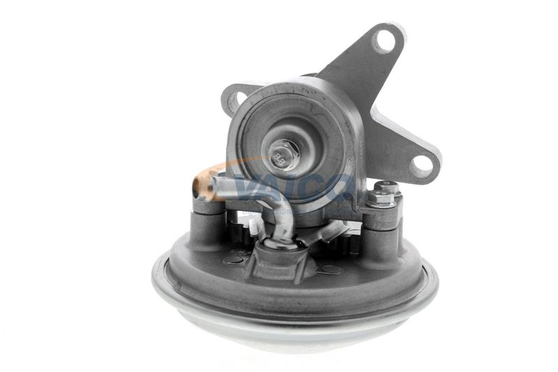 VAICO V25-1907 Mounting, engine