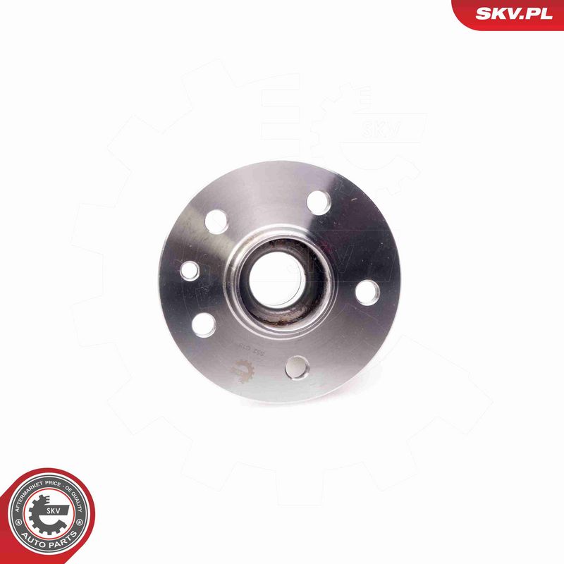 ESEN SKV 29SKV074 Wheel Bearing Kit