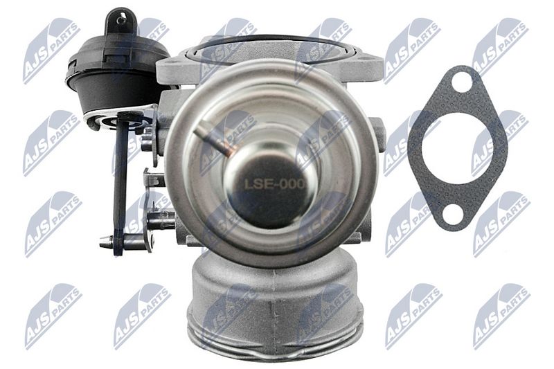 EGR-klapp, NTY EGR-SE-000