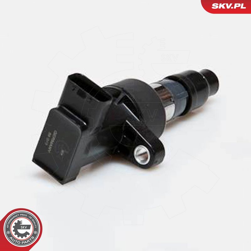 ESEN SKV 03SKV171 Ignition Coil