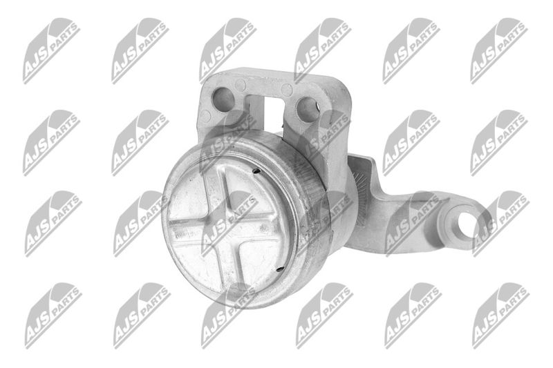 Paigutus, Mootor, NTY ZPS-FR-033