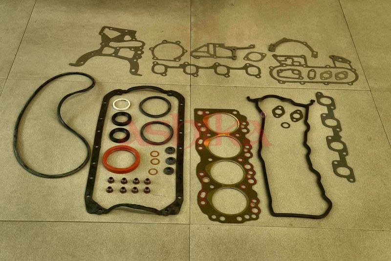 Set garnituri complet, motor ASHIKA 49-02-236