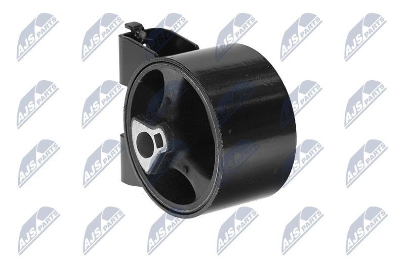 Paigutus, Mootor, NTY ZPS-CH-054