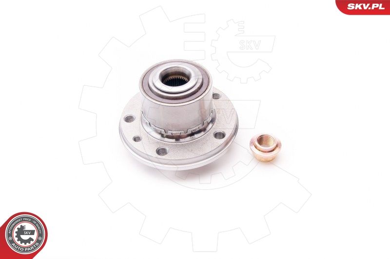 ESEN SKV 29SKV024 Wheel Bearing Kit