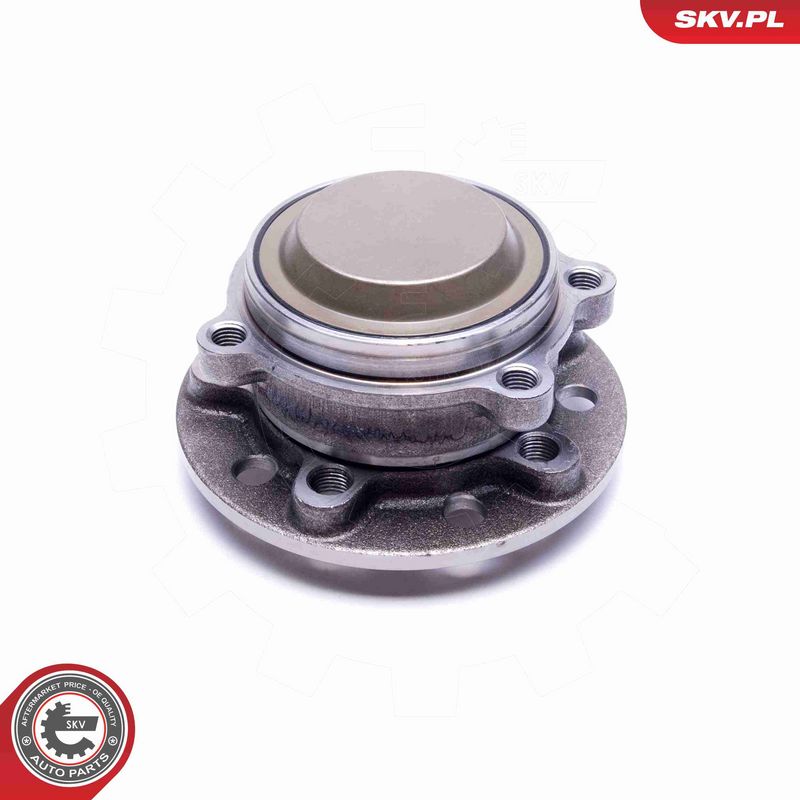 ESEN SKV 29SKV506 Wheel Bearing Kit