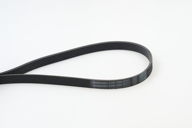 CONTINENTAL CTAM 6PK1693 V-Ribbed Belt