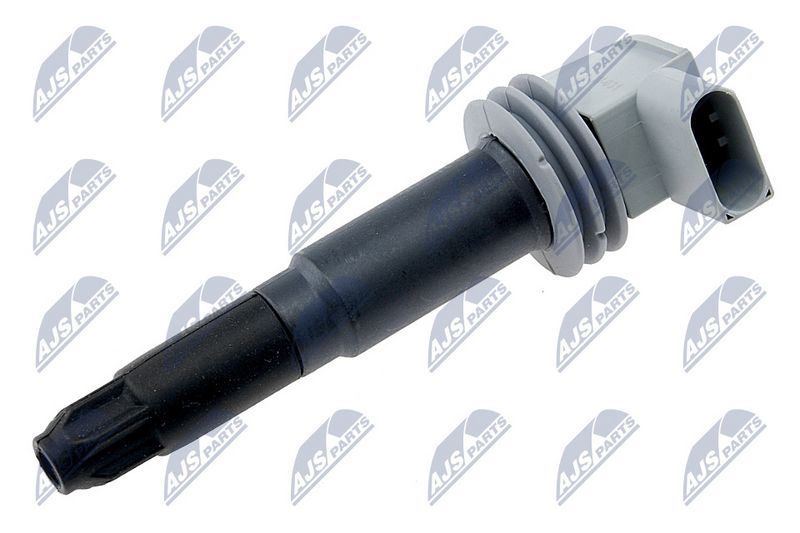 NTY ECZ-VW-031 - Uždegimo ritė