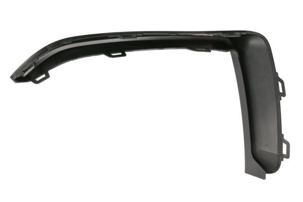 BLIC 6502-07-0073924P Trim/Protection Strip, bumper