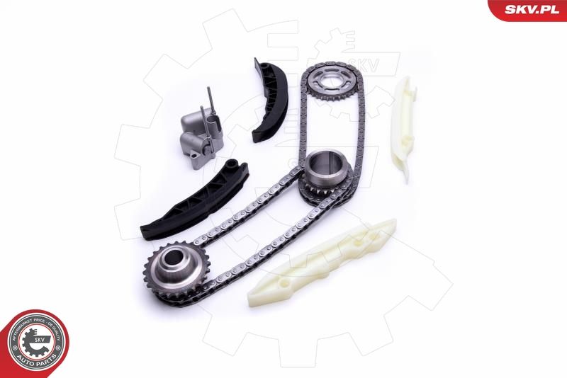 ESEN SKV 21SKV167 Timing Chain Kit