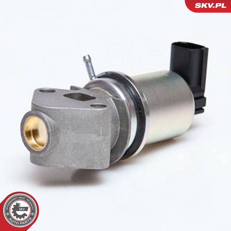 ESEN SKV 14SKV043 EGR Valve