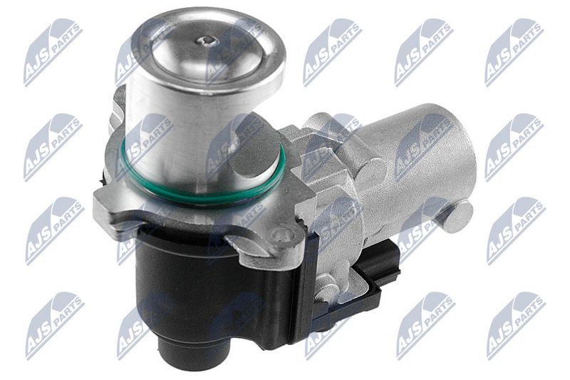 egr-vw-006_2-wm.JPG