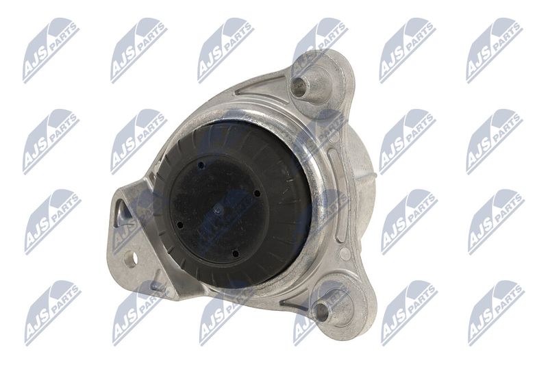 Paigutus, Mootor, NTY ZPS-ME-065