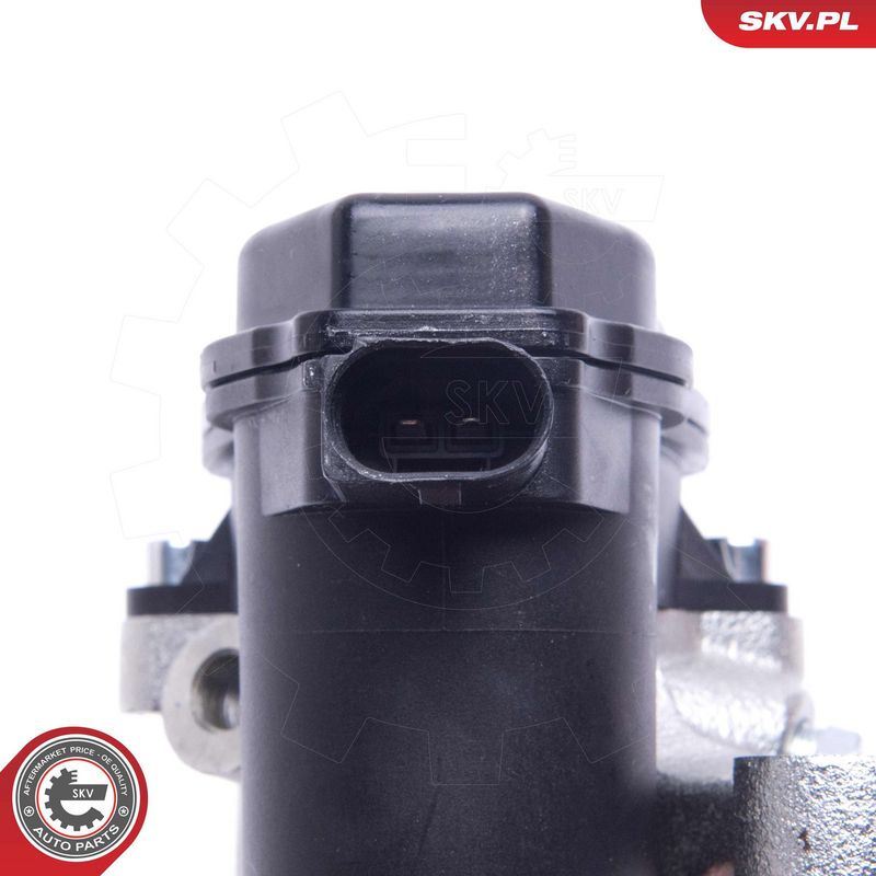 Pidurisadul, ESEN SKV 55SKV934