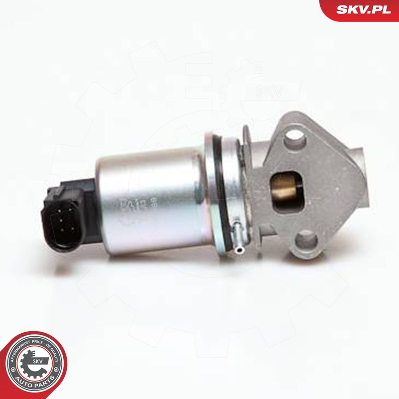 EGR-klapp, ESEN SKV 14SKV043