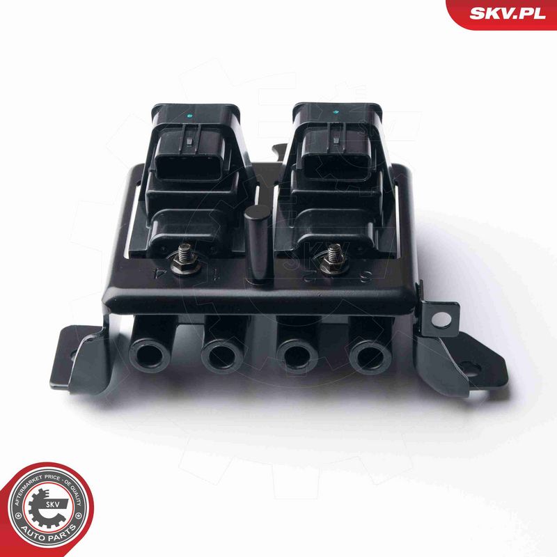 ESEN SKV 03SKV239 Degimo ritė