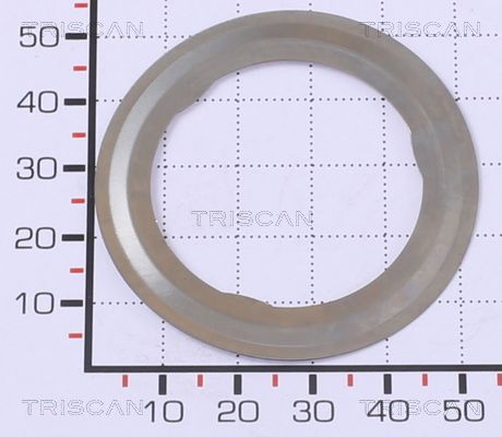 TRIS881399156.JPG