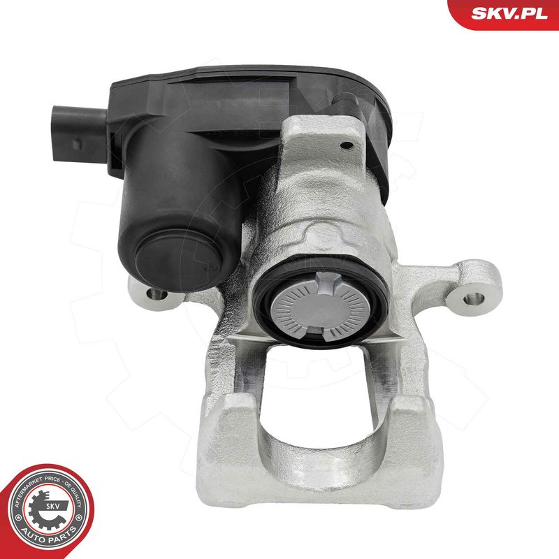 Pidurisadul, ESEN SKV 79SKV734