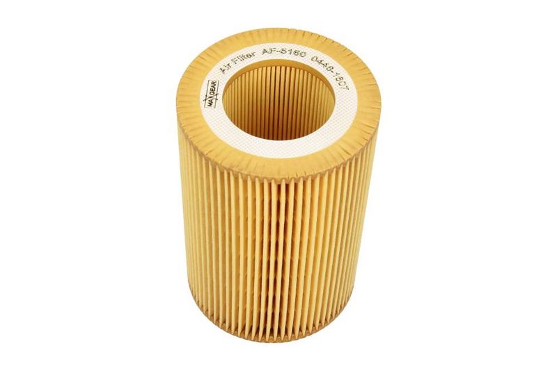 MAXGEAR Oro filtras