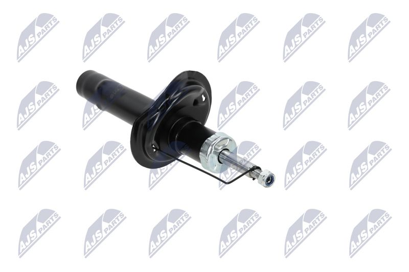 Amort, NTY A-CT-020