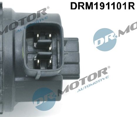 Клапан системи рециркуляції вг, Dr.Motor DRM191101R