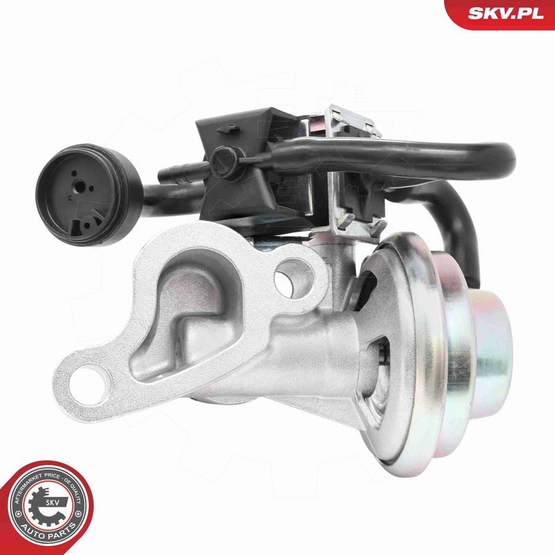 ESEN SKV 14SKV268 EGR Valve