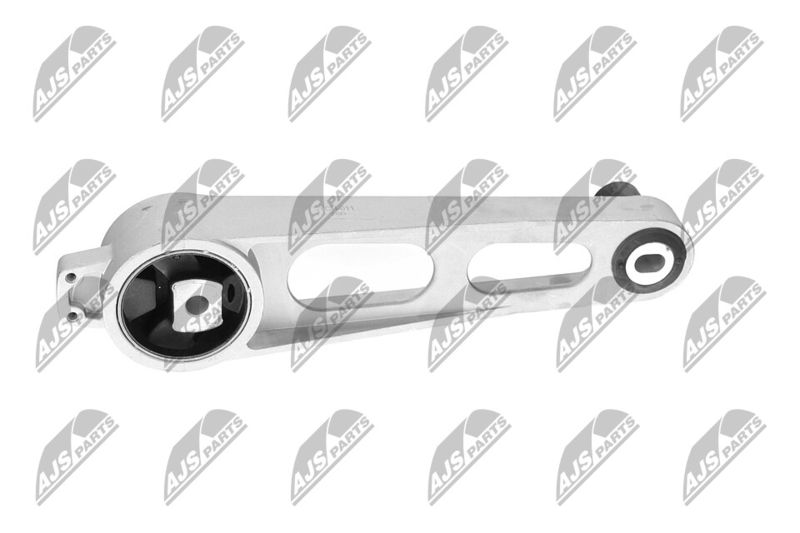 Paigutus, Mootor, NTY ZPS-CH-011