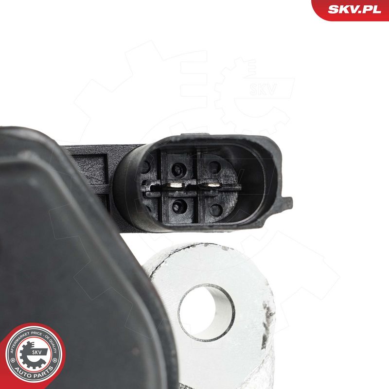 Pidurisadul, ESEN SKV 79SKV594