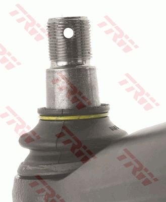 0161JTR0209_1.JPG